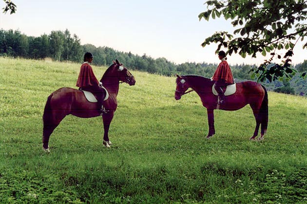 Horse rides