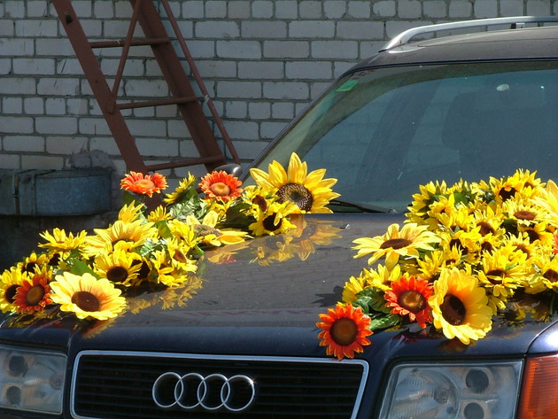 Floristische Präsentation von Autos, Dekoration