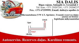 Dalis SIA
