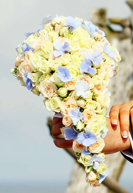 Līgavas pušķis ar rozēm un hortenzijām. Autors: Kristīna Meļņika
