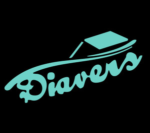 DIAVERS, SIA, tinsmiths works, roof covering