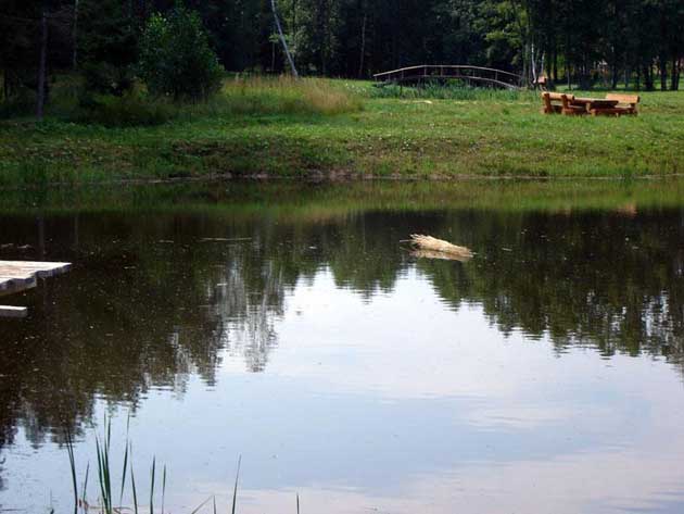 Jumiķu darbi, jumta segumu uzstādīšana, montāža