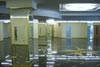 Glass Serviss