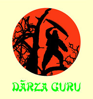 Dārza Guru, Umgebung, Einrichtung der Grünanlagen