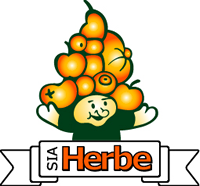 Herbe, Riga office