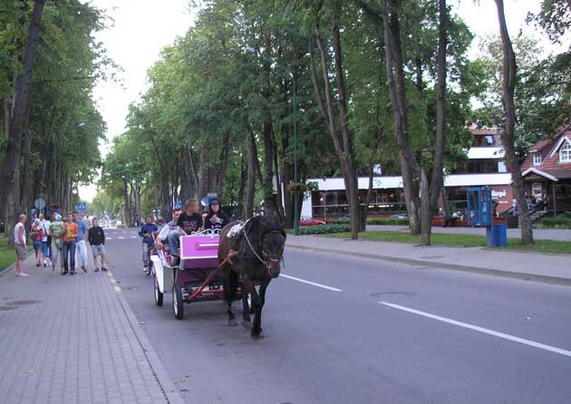 Recreation and entertainment in Palanga