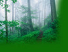 Lamela, Holzbearbeitung