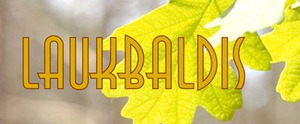 Laukbaldis, UAB, Holzbearbeitung
