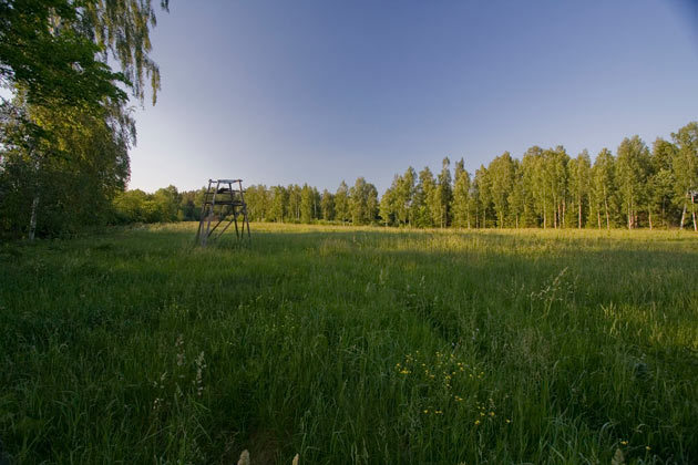 Savvaļas dzīvnieku vērošana
