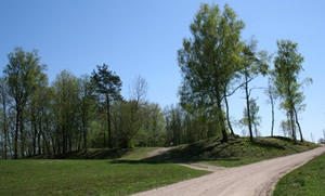 Mālpils viduslaiku pilskalns, castle mound