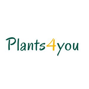 Plants4You, SIA, деревопитомник