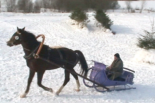 Zirgu pajūgu ziemas sacensības Z/S
