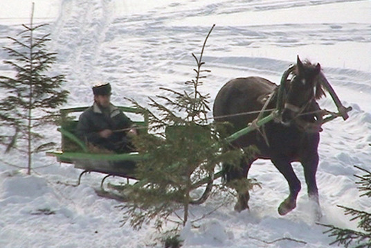 Zirgu pajūgu ziemas sacensības Z/S