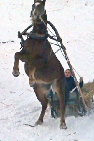 Zirgu pajūgu ziemas sacensības Z/S