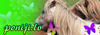 Zemgales poniji 