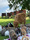 Priedītes, ZS, mini zoo