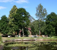 Purvziedi, kempings