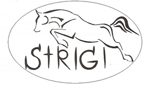 Strigi, equestrian club