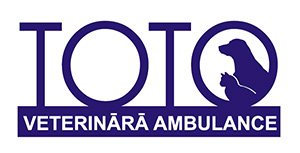 Toto, veterinārā ambulance
