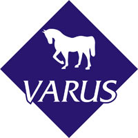 VARUS SIA, car rental