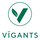 Vīgants, SIA