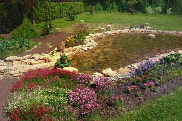 Organization of decorative brooklets and ponds 