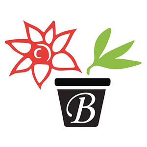 Baižas, stādaudzētava